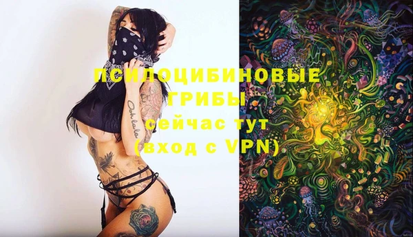 трава Бородино