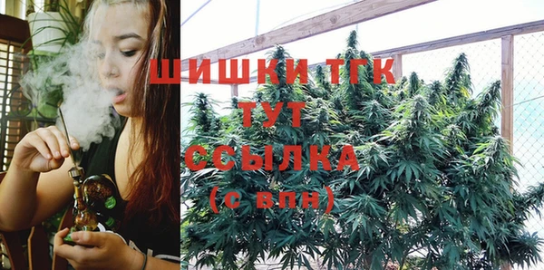 прущий лед Верея