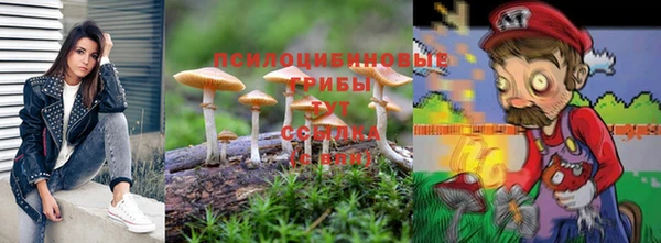 гидропоника Верхний Тагил