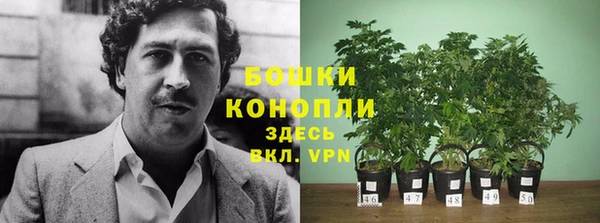 Альфа ПВП Бугульма